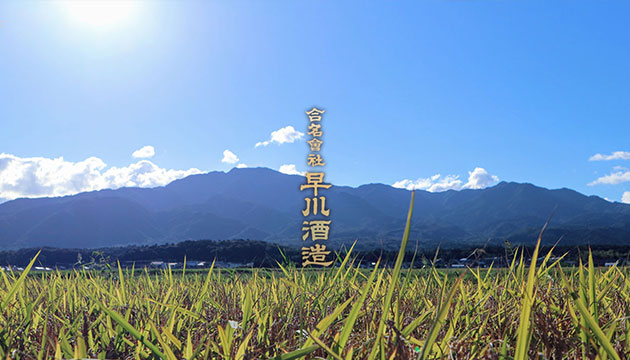 合名会社 早川酒造