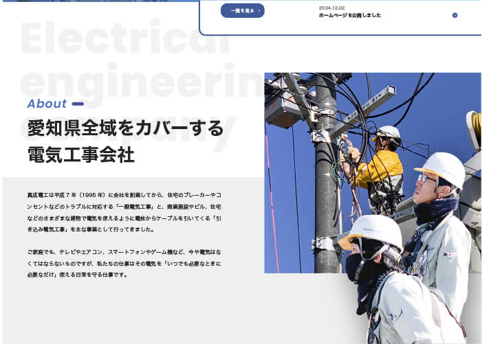 有限会社真成電工